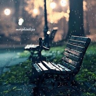 لوگوی کانال تلگرام cafemusicplus — MUSIC  