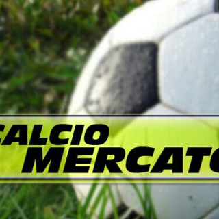 Logo del canale telegramma calciomercatolive24 - CalciomercatoLIVE