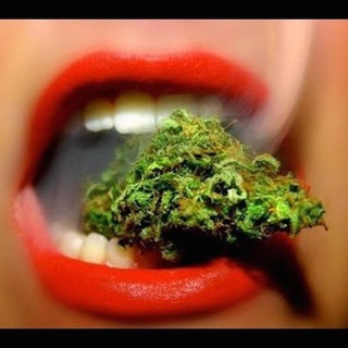 டெலிகிராம் சேனலின் சின்னம் calidelivery — Cali Coffee shop world 🇫🇷 🇨🇭 🇳🇱 🇲🇦 🇪🇸 🌎🌍