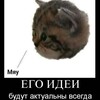 Логотип телеграм канала @californium_xd — Отсебятина калифорния😋