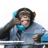 Логотип телеграм канала @call_prikoi — Call-prikol | Розыгрыши по звонку