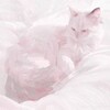 Логотип телеграм канала @calmandyouu — Вᴧюбиᴛьᴄя ʙ ᴄᴨᴏᴋᴏйᴄᴛʙиᴇ