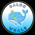 Logo of telegram channel calonwhale_channel — Calon Whale Channel