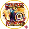 Логотип телеграм канала @camcp — Сам Себе Режиссёр 18 