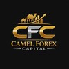 Logo of telegram channel camelforexcap — Camel Forex Capital