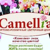 Логотип телеграм канала @camelia_cvety — Камелия - цветы