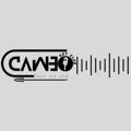 Logo saluran telegram cameoartclub — Cameo Art Club 📖