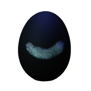 Логотип телеграм канала @camp_egg — Camp Egg | Фото | Мода