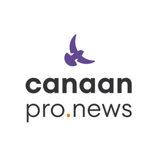 Логотип телеграм канала @canaanpronews — CANAAN Pro News