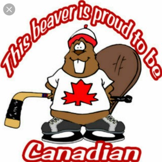 Логотип телеграм канала @canadian_beavers — Canadian beavers