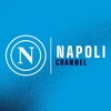 Logo of telegram channel canalepartenopeo — Canale partenopeo