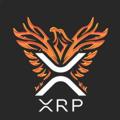 Logo saluran telegram canalexrp — Ripple XRP | Breaking News
