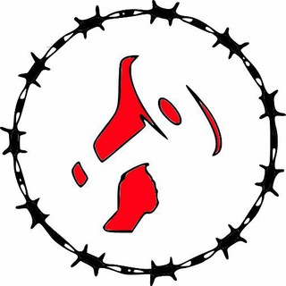 Telegram channel Canal Migrantes logo