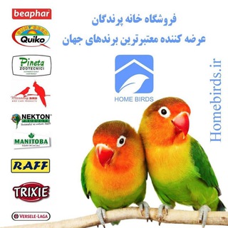 Logo of telegram channel canary051 — خانه پرندگان