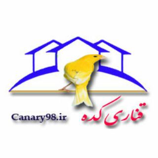 لوگوی کانال تلگرام canary98 — قناری کده