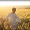 电报频道的标志 cancanneedhh — 花月正春风