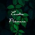 Telegram channel Candra Permana logo