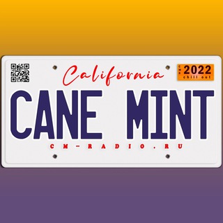 Логотип телеграм канала @canemint_radio — 🍃 Cane Mint Radio 🎙