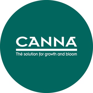 Логотип телеграм канала @canna_ru — CANNA RU