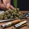 Logo of telegram channel cannabis_seeds_seller — CANNABIS SEEDS, THAILAND, USA, CANADA, MONACO