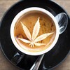 Логотип телеграм канала @cannadigest — Canna Digest