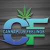 Logo of telegram channel cannaplusfeeling — Cannaplus Feelings