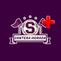 Logo saluran telegram canteramoradaplus — Cantera Morada PLUS 💜⚽️