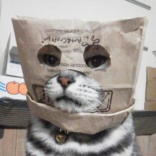 Логотип телеграм канала @cantistress — Cantistress