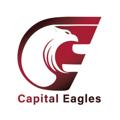 Logo saluran telegram capitaleagles — Capitaleagles