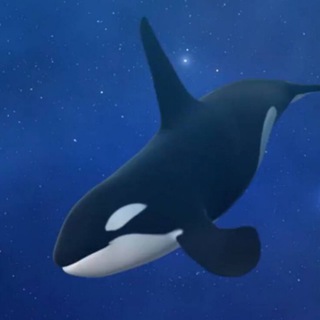 Логотип телеграм канала @capitalwhaledexgroop — Capital Whale Выплаты