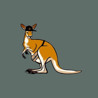 Telegram channel Capitan Kangaroo shop logo