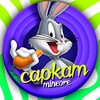 Логотип телеграм канала @capkam — 〘 САРКАЗМ ⚡️ MineOre 〙