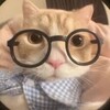 Logo of telegram channel capnhatkm24h — CẬP NHẬT KHUYẾN MÃI 24H
