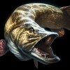 Логотип телеграм канала @captainbladefishing — Рыбалка с капитаном