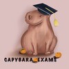 Логотип телеграм канала @capybara_exams — ЕГЭ английский |capybara exams | Маша и капибары