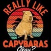 Logo of telegram channel capybara_slot — Capybara Slot