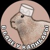 Логотип телеграм канала @capybaramed — В баре у капибары