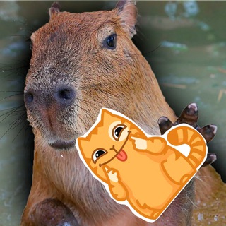 Логотип телеграм канала @capybarastiker — Стикеры с животными | мемы