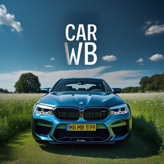 Логотип телеграм канала @car_wb1 — Car wb