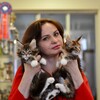 Логотип телеграм канала @caramelcat_cattery — CARAMEL питомник мейн кунов