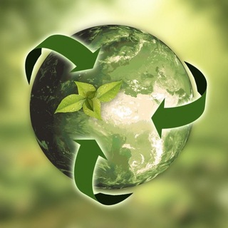 Логотип телеграм канала @carbonfreeregulation — Декарбонизация века