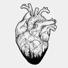 Логотип телеграм канала @cardioforest — Кардиология - темный лес