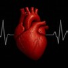 Telegram channel Cardiologia🫀 logo