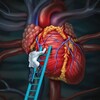 Логотип телеграм канала @cardiology_rus — Кардиология