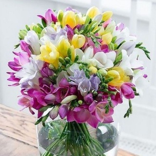 Логотип телеграм канала @cards_greetings — Открытки, поздравления 💐
