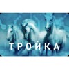 Логотип телеграм канала @cardtroyka2 — "Троечники" - Наше дело правое! Карта тройка