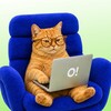 Логотип телеграм канала @career_ostrovok — Работа в Островке
