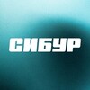 Логотип телеграм канала @career_sibur — Карьера в СИБУРе. Новый