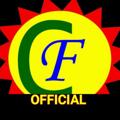 Logo saluran telegram careerfoundatio — CAREER FOUNDATION