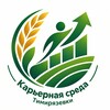 Логотип телеграм канала @careertimacad — Карьерная среда Тимирязевки